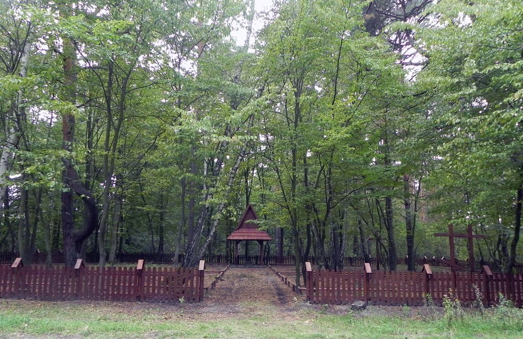 Cmentarz w Głoskowie - widok ogólny, foto Piotr Prawucki, 25 IX 2015 r.
