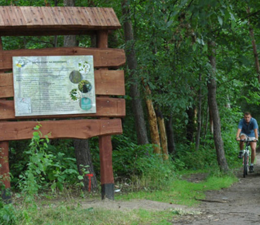 Ścieżkę edukacyjną w Zalesiu Dolnym utworzono w 2007 r.