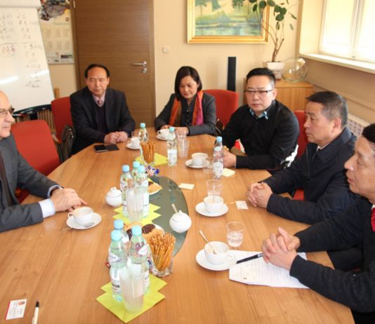 Delegacja z Huanggang w Piasecznie w 2015 r.