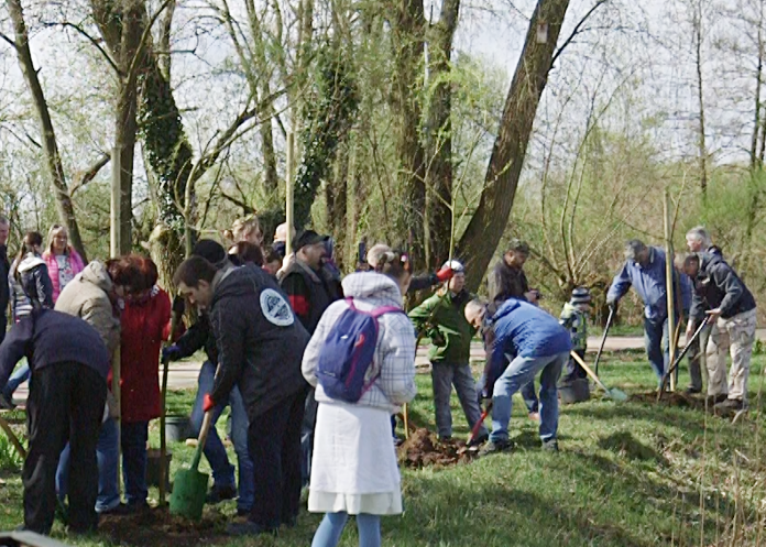 Zazieleńmy miasto Społeczna akcja sadzenia drzew na Górkach Szymona
