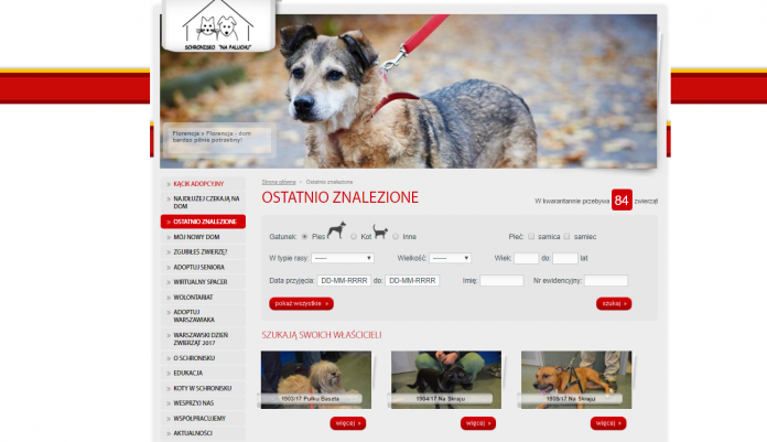 Co zrobić, gdy zgubiłeś zwierzaka, gdzie go szukać? www.napaluchu.waw.pl
