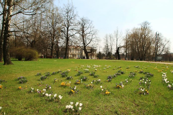 Milion na Park Miejski