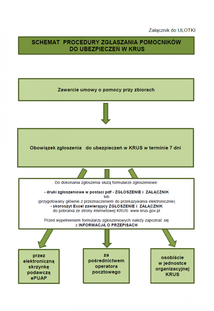KRUS informuje o obowiązku zgłoszenia pomocnika krus schemat