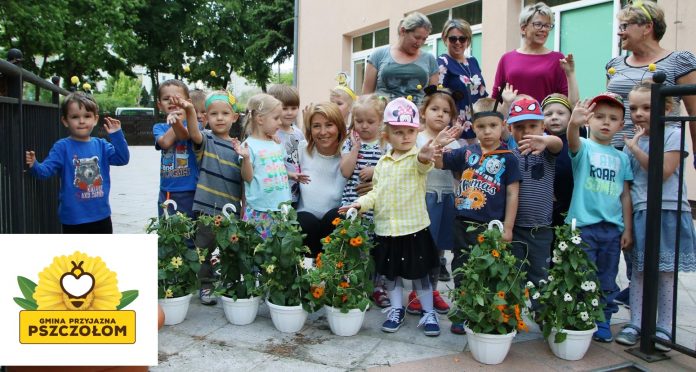 Gmina przyjazna pszczołom Dzieci z Przedszkola nr 4 przy ul. Fabrycznej posadziły w maju 2018 r. rośliny miododajne, foto Anna Grzejszczyk