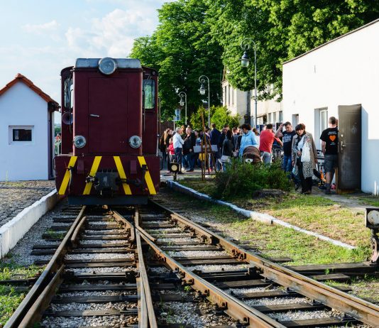 I Piaseczyńska Noc Muzeów - foto: Marcin Borkowski