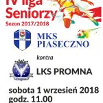 IV liga