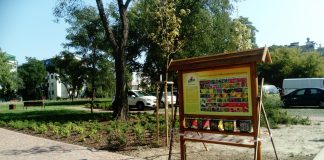 Gmina Piaseczno doceniona za działania na rzecz ochrony pszczół