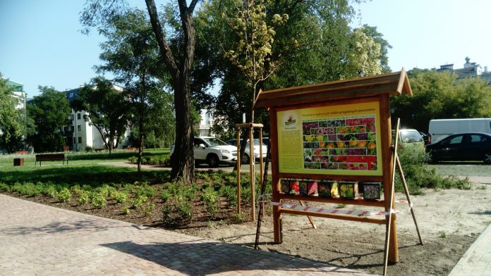 Gmina Piaseczno doceniona za działania na rzecz ochrony pszczół