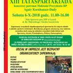 XIII Ttataspartakiada