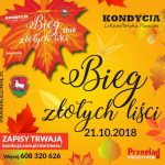 VII Bieg Złotych Liści