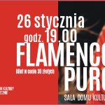 Flamenco Puro