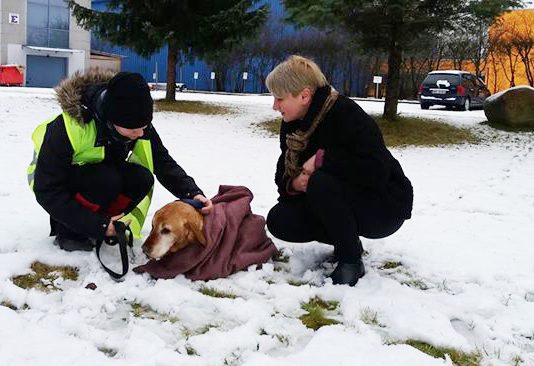 zdjęcie z interwencji