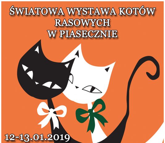 Wystawa Kotów w Piasecznie