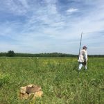 Dziadek Bogumił na swojej uprawie truskawek (Fot: Paweł Orlikowski)