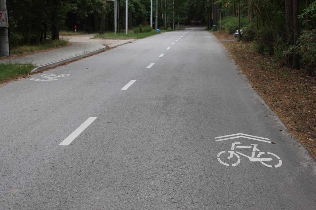 Wytyczona trasa dla rowerów na ul. Jesionowej w Zalesiu Górnym, foto: Michał Baran