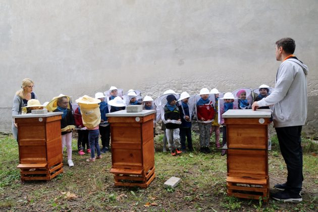 Gminne pszczółki w Piasecznie