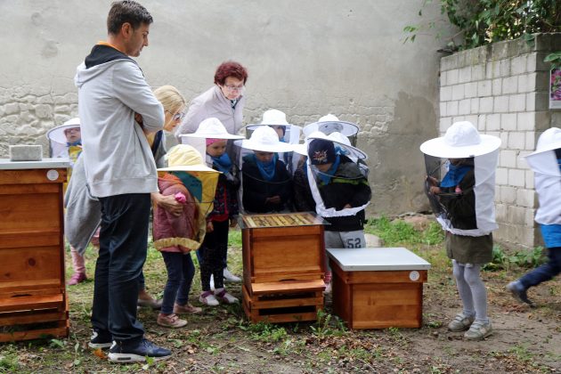 Gminne pszczółki w Piasecznie