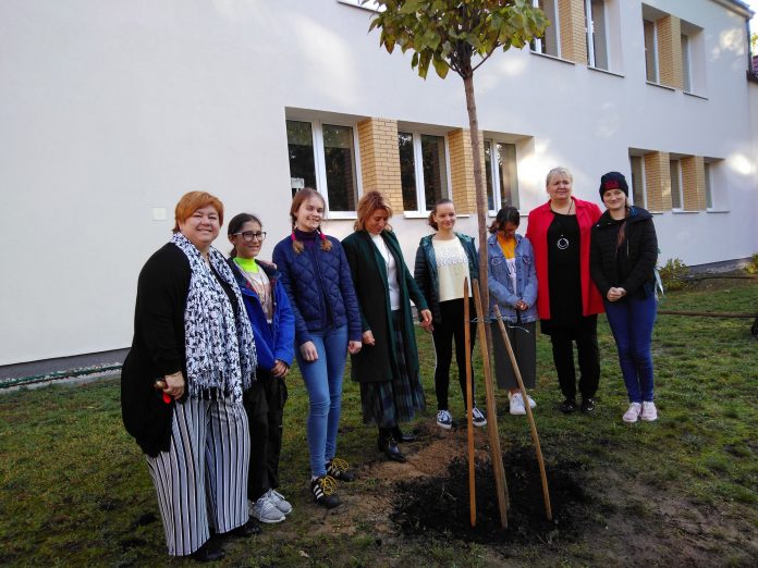 Dzień Drzewa w Zalesiu Górnym