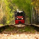 Ścieżka historyczna na Piaseczyńskiej Kolejce Wąskotorowej