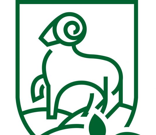 Piaseczno dla klimatu - logo