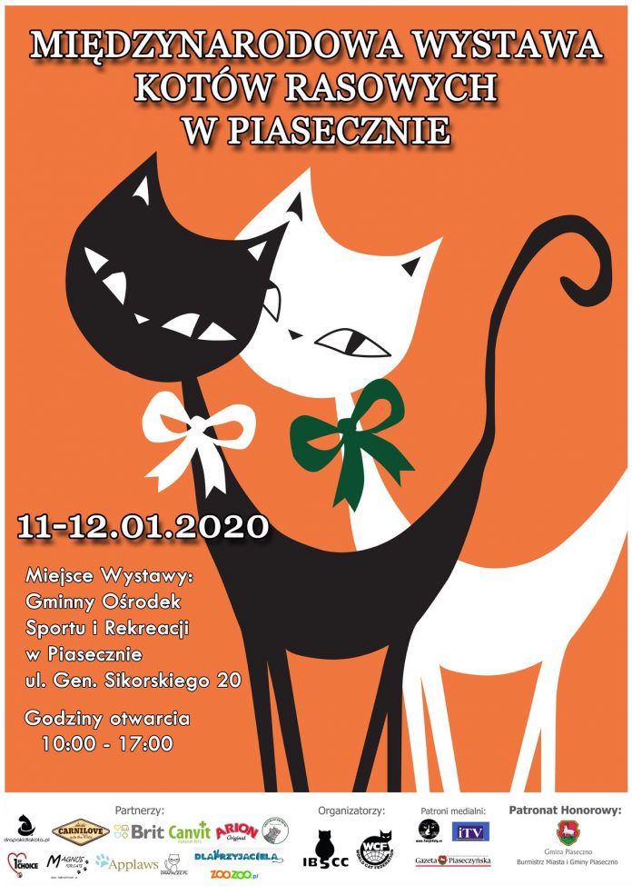 Międzynarodowa Wystawa Kotów Rasowych Piaseczno 2020