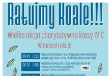 Ratujmy Koale - akcja charytatywna w SP1 Piaseczno