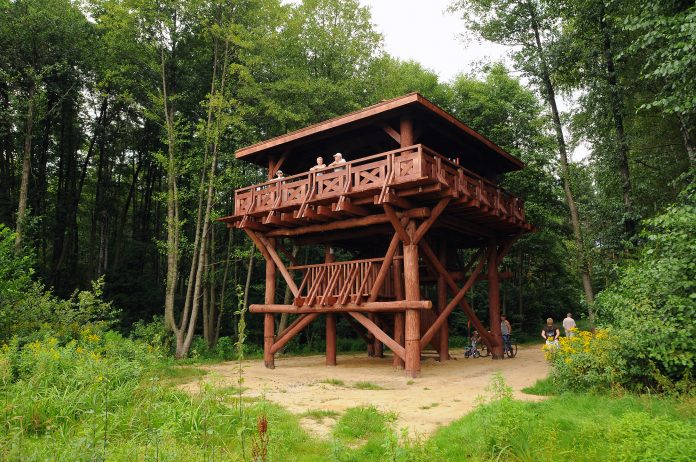 Niedostępne obiekty Nadleśnictwa Chojnów Wieża obserwacyjna Chojnowskiego Parku Krajobrazowego, foto: Arkadiusz Strzyżewski