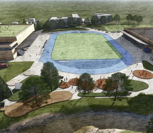 Projekt koncepcji hali widowiskowo-sportowej modernizacja terenów sportowych przy al. Kalin w Piasecznie