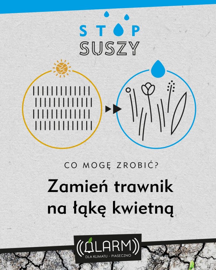 Dołącz do akcji społecznej STOP SUSZY Zamień trawnik na łąkę kwietną