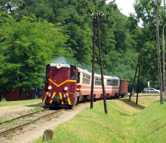 Piaseczyńsko-Grójecka Kolej Wąskotorowa