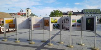 Siła inspiracji - wystawa fotografii na rynku miejskim w Piasecznie