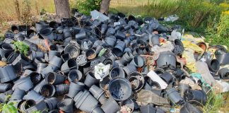 Nieporządek i śmieci na działce w Jesówce, foto Straż Miejska w Piasecznie