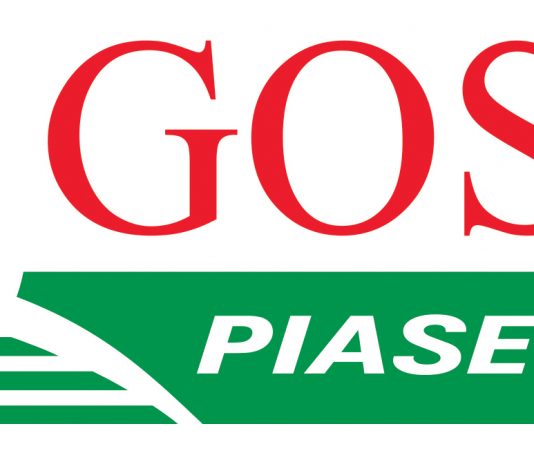 Logo GOSiR Piaseczno