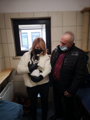 Wiceburmistrz Piaseczna prezentuje kota do adopcji przebywającego w schronisku "Na Paluchu"