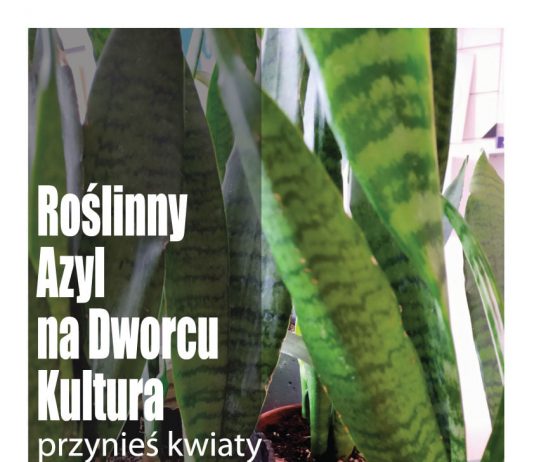 Plakat Roślinny azyl na Dworcu Kultura