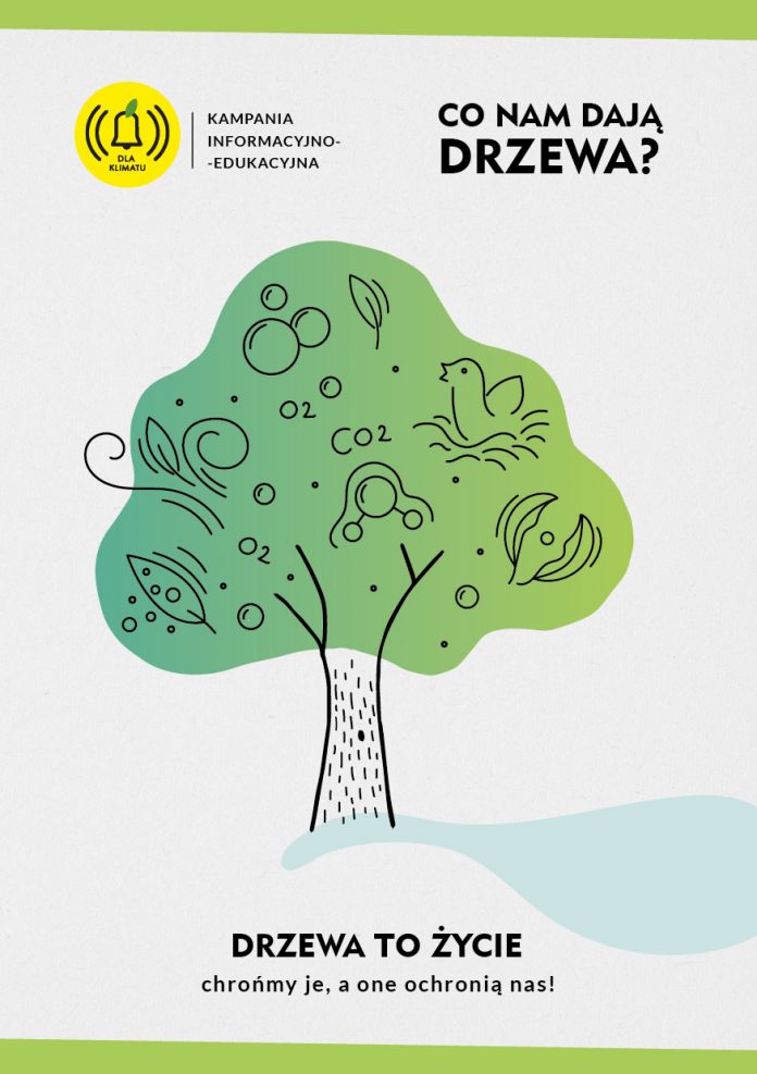 Co nam dają drzewa - ulotka Alarmu dla Klimatu Piaseczno