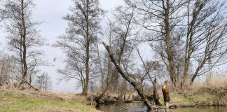 rzeka Jeziorka - akcja sprzątania rzeki odbędzie się 17 kwietnia 2021