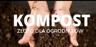 Kompost złoto dla ogrodników