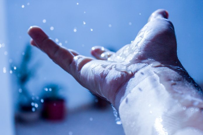 Deszczówka – badanie ankietowe Ilustracja. Deszczówka, foto: unsplash.com