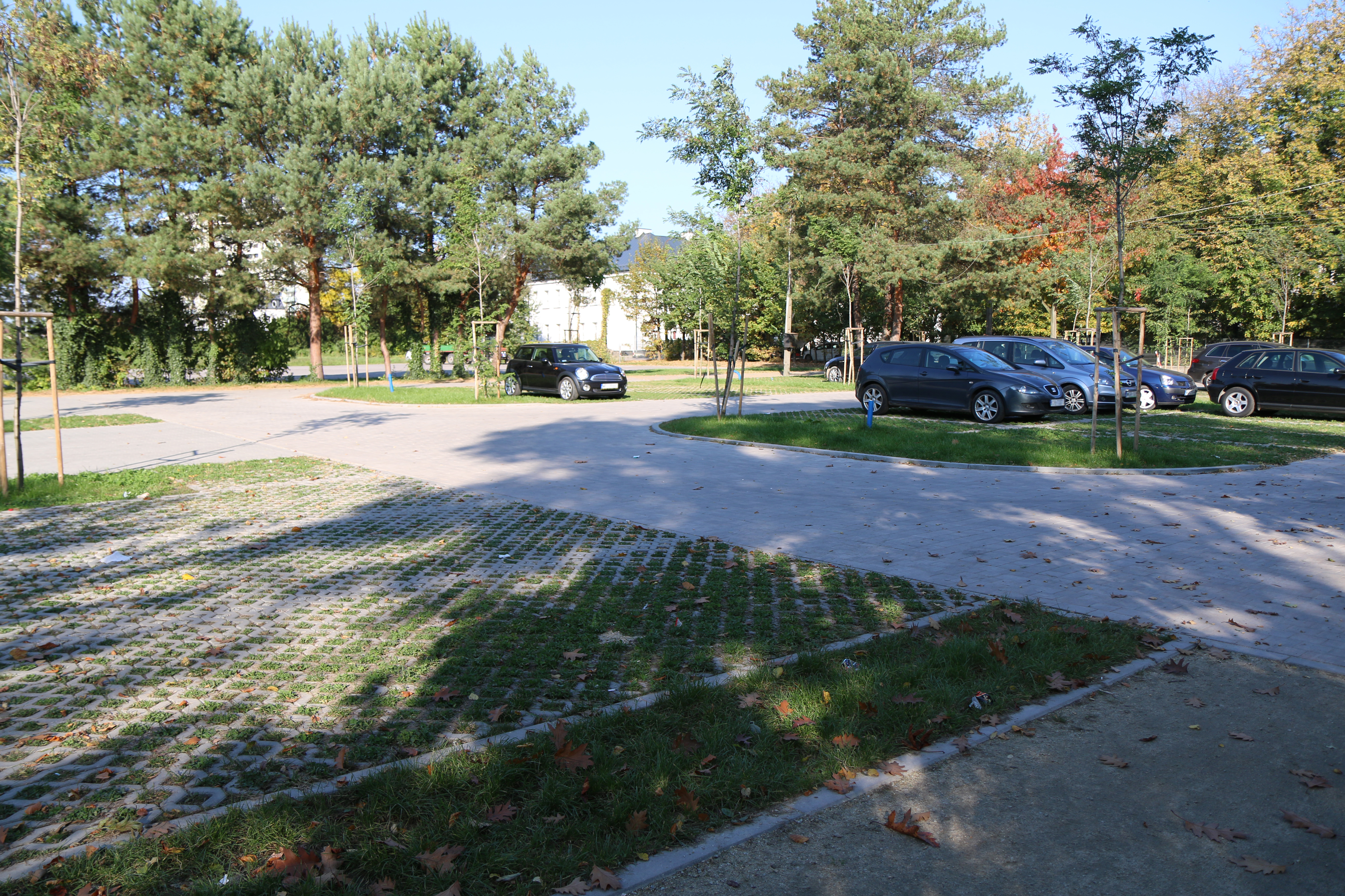 Rusza System Miejskich Parkingów Płatnych. na zdjęciu parking obok Parku Miejskiego.