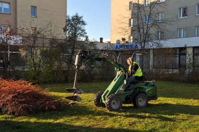 23 nowe drzewa na ul. Puławskiej. Pracownik firmy ogrodniczej przygotowuje otwór do posadzenia drzewa.