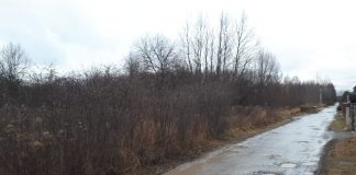 Rozpoczynamy przygotowania terenu pod budowę szkoły w Julianowie. Na zdjęciu ul. Zimowa i fragment porośniętego krzewami terenu pod szkołę.