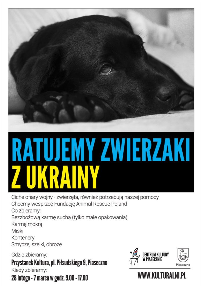 Plakat Zbiórka dla zwierzaków z Ukrainy
