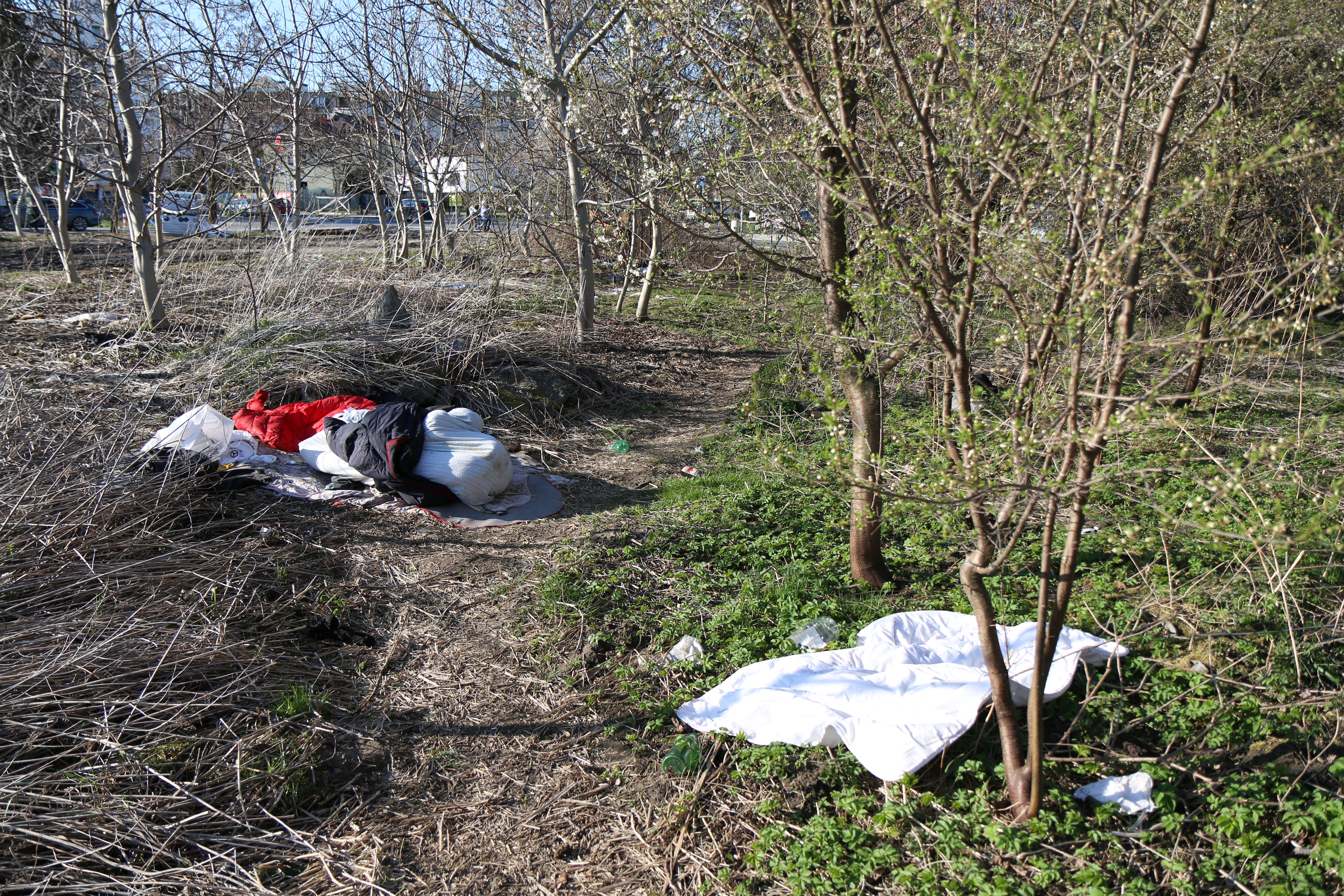 Zaśmiecony teren przy ul. Jarząbka - interweniujemy u właściciela. na zdjęciu śmieci na trawniku.