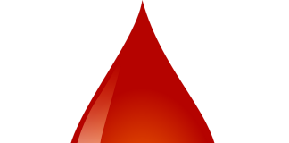 Krwiobus w Józefosławiu, źródło: https://pixabay.com