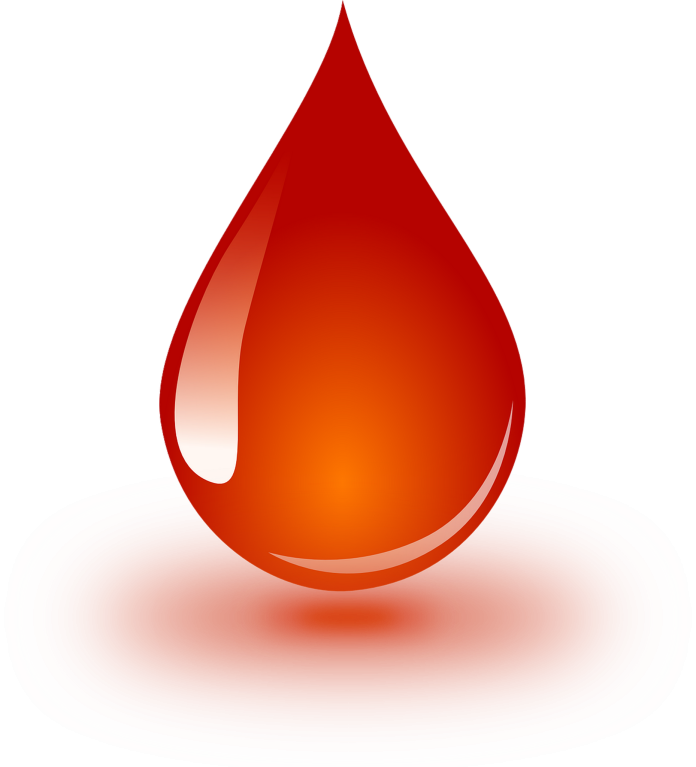 Krwiobus w Józefosławiu, źródło: https://pixabay.com