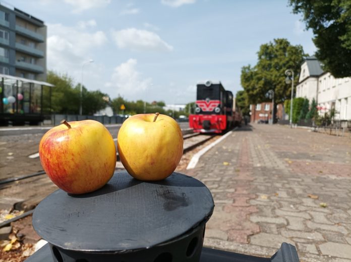 Święto jabłka - powitanie jesieni z Piaseczyńską Koleją Wąskotorową