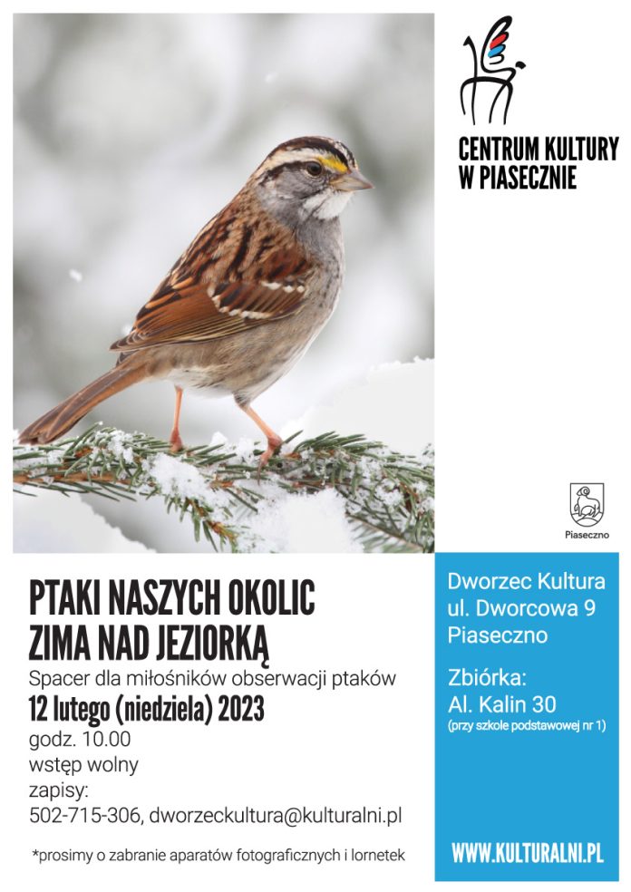 Na plakacie zdjęcia ptaka w zimowej scenerii