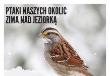 Na plakacie ptak w zimowej scenerii.