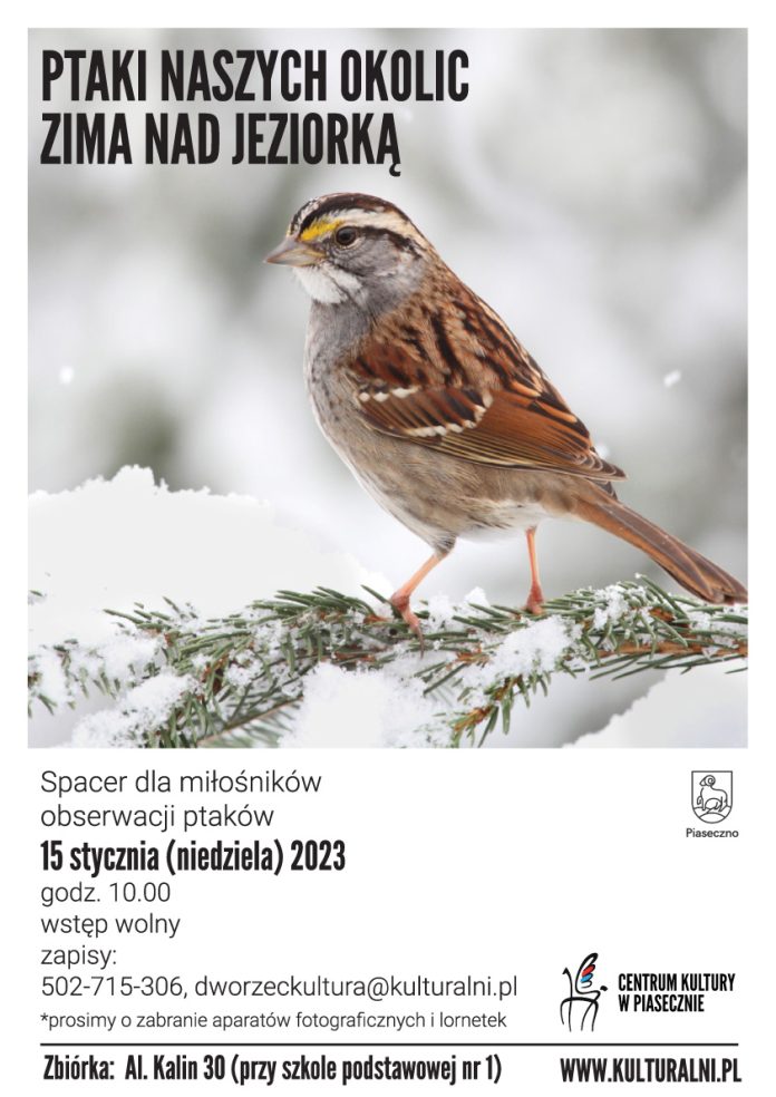 Na plakacie ptak w zimowej scenerii.